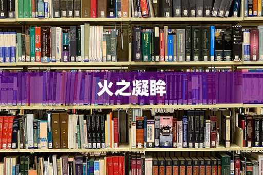 火之凝眸