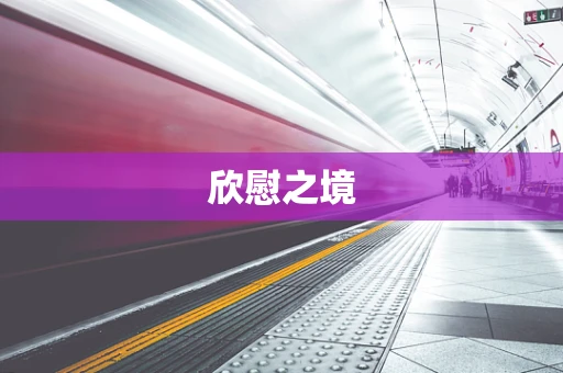 欣慰之境