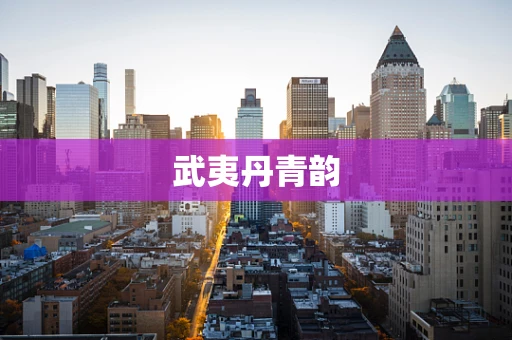 武夷丹青韵
