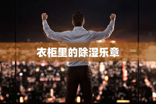 衣柜里的除湿乐章
