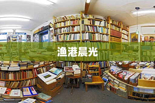 渔港晨光