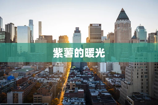 紫薯的暖光