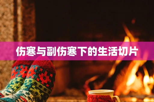 伤寒与副伤寒下的生活切片