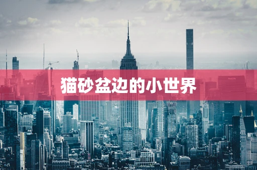 猫砂盆边的小世界