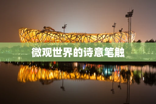 微观世界的诗意笔触