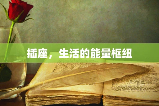 插座，生活的能量枢纽