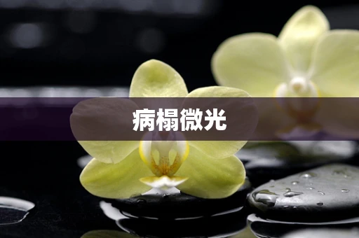 病榻微光