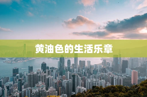 黄油色的生活乐章