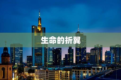 生命的折翼