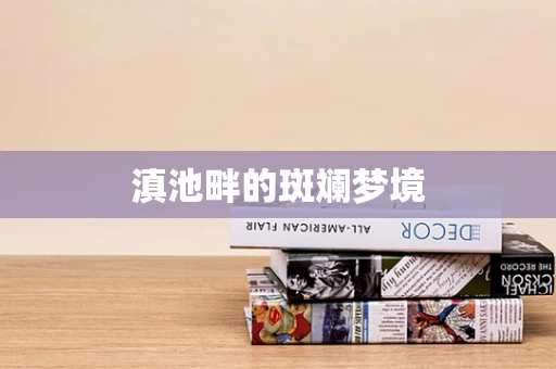 滇池畔的斑斓梦境