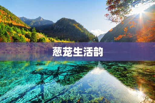 葱茏生活韵