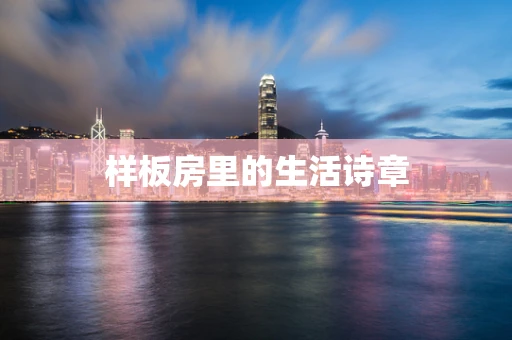 样板房里的生活诗章
