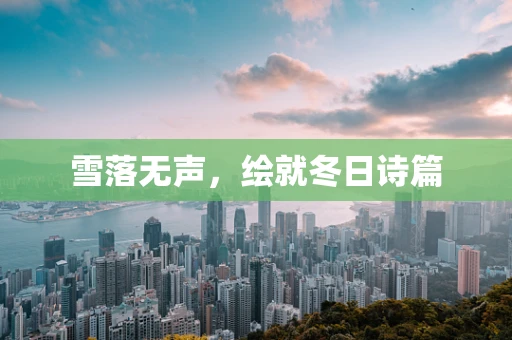 雪落无声，绘就冬日诗篇