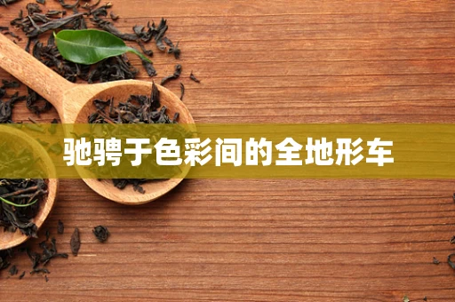 驰骋于色彩间的全地形车