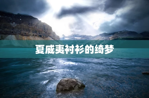 夏威夷衬衫的绮梦
