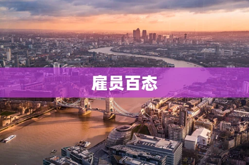雇员百态