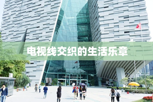 电视线交织的生活乐章
