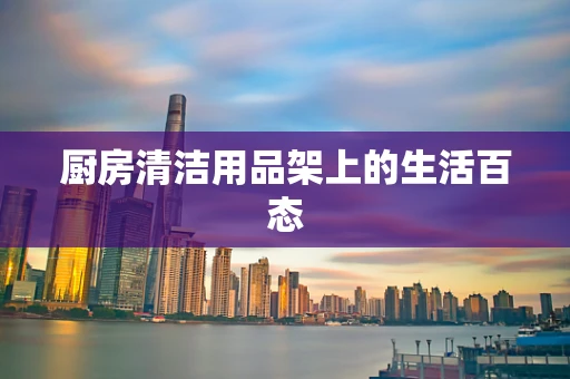 厨房清洁用品架上的生活百态
