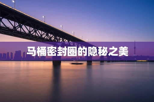 马桶密封圈的隐秘之美