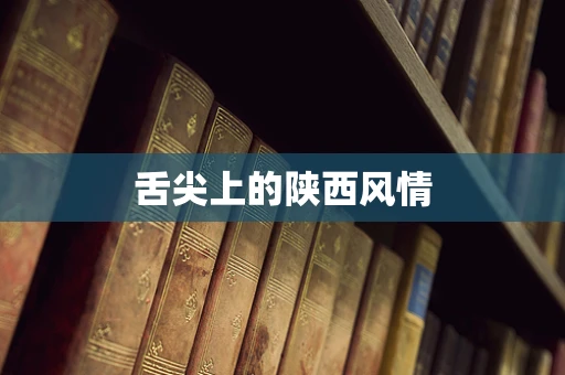 舌尖上的陕西风情
