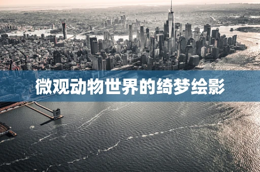 微观动物世界的绮梦绘影