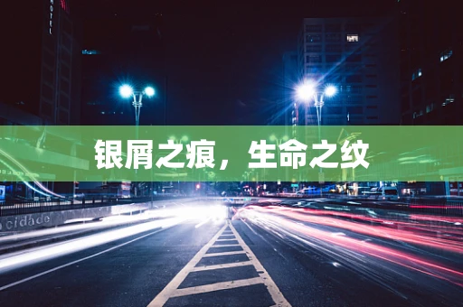 银屑之痕，生命之纹