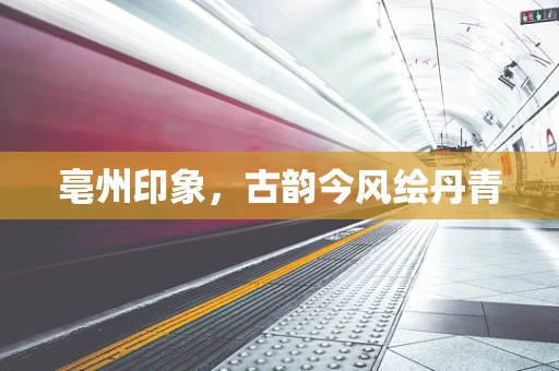 亳州印象，古韵今风绘丹青