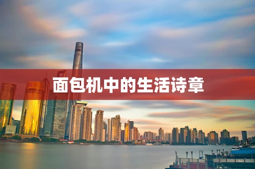 面包机中的生活诗章