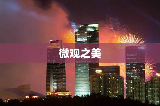 微观之美