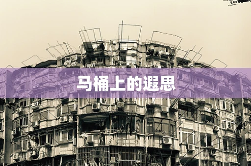 马桶上的遐思