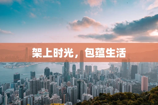 架上时光，包蕴生活