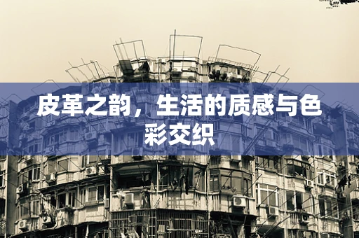 皮革之韵，生活的质感与色彩交织