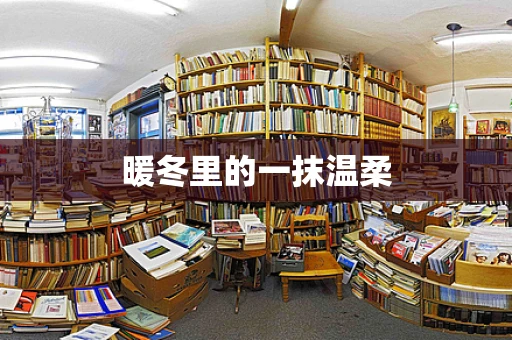 暖冬里的一抹温柔