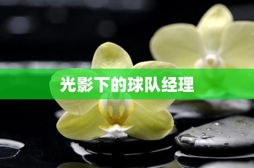 光影下的球队经理
