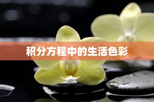 积分方程中的生活色彩