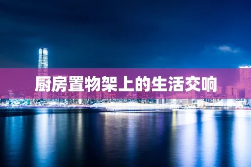 厨房置物架上的生活交响