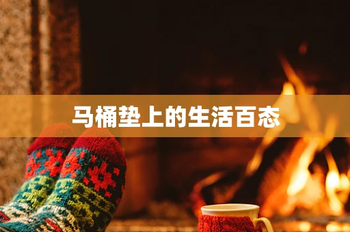 马桶垫上的生活百态