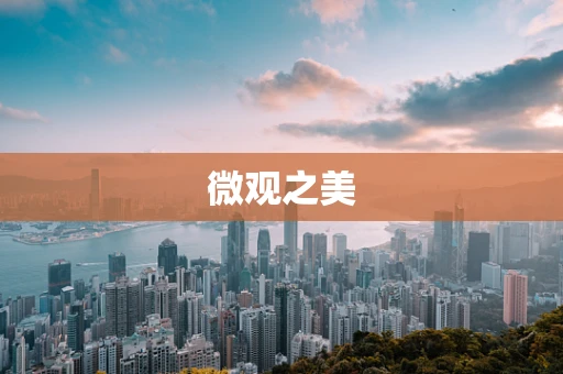 微观之美