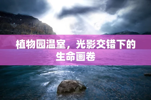 植物园温室，光影交错下的生命画卷