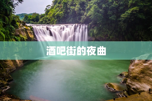 酒吧街的夜曲
