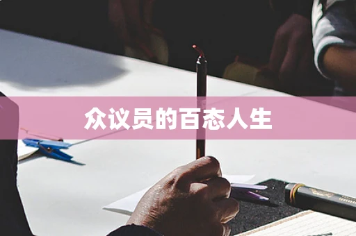 众议员的百态人生
