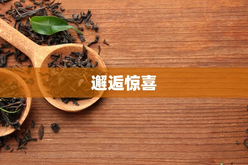 邂逅惊喜