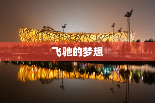 飞驰的梦想