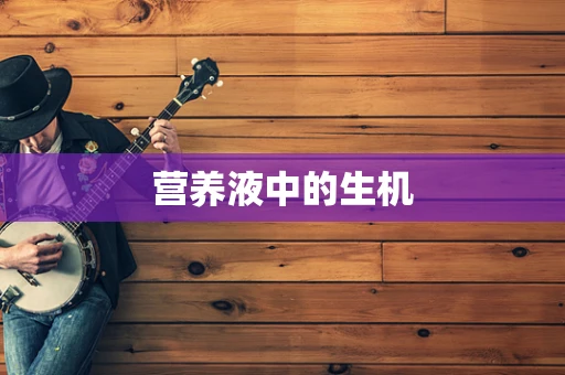 营养液中的生机