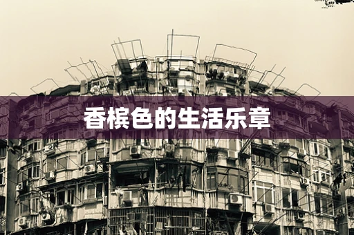 香槟色的生活乐章