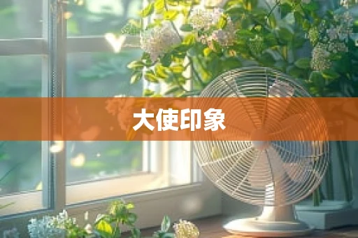 大使印象