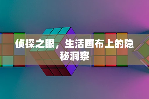 侦探之眼，生活画布上的隐秘洞察