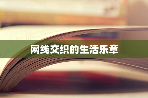 网线交织的生活乐章