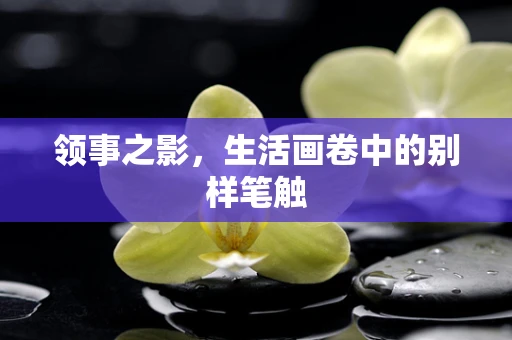 领事之影，生活画卷中的别样笔触