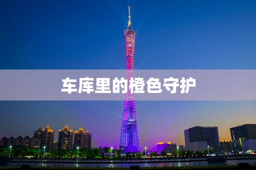 车库里的橙色守护